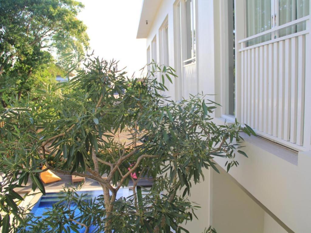 The Vinhill Studio Bali Apartment Eksteriør bilde
